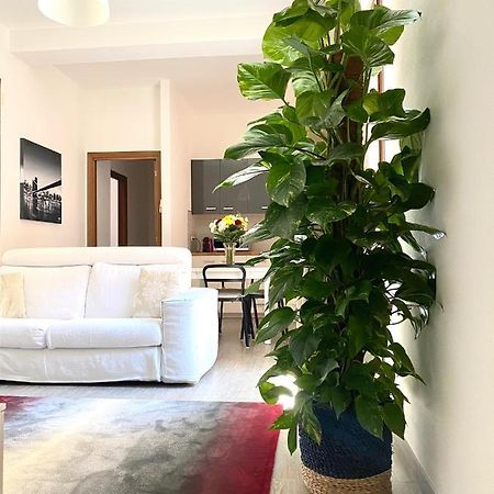 شقة Delonix Regia أولبيا المظهر الخارجي الصورة