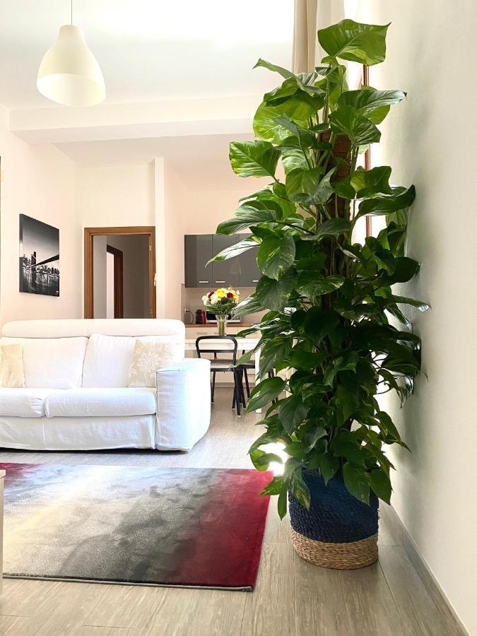 شقة Delonix Regia أولبيا المظهر الخارجي الصورة